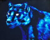 05 - Black Jaguar - Pastel on Velour - Wendy Britton.jpg